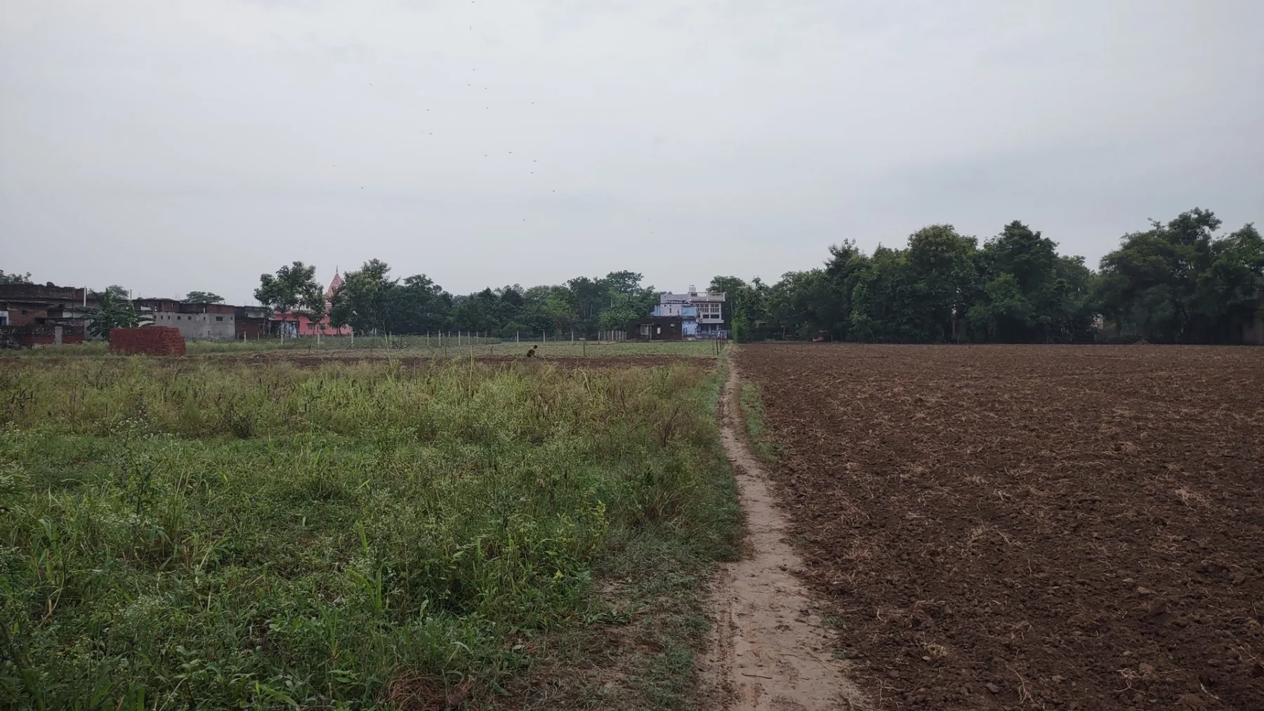 Scene of Bahuara village